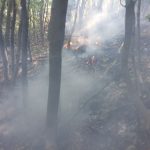Incendio boschivo a Giusvalla